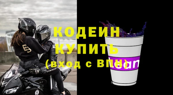 прущие грибы Покров
