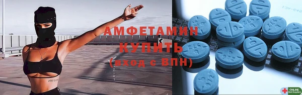 прущие грибы Покров