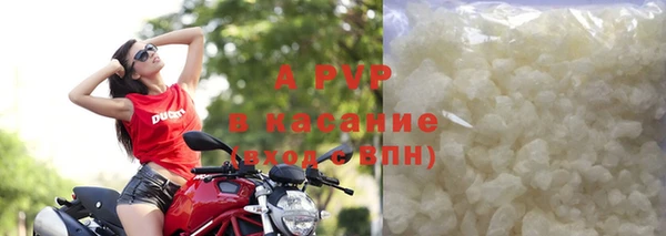 прущие грибы Покров