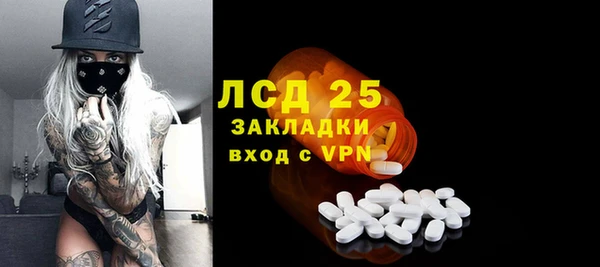 прущие грибы Покров