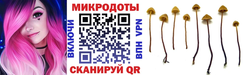 Псилоцибиновые грибы Cubensis  Купить  Протвино 